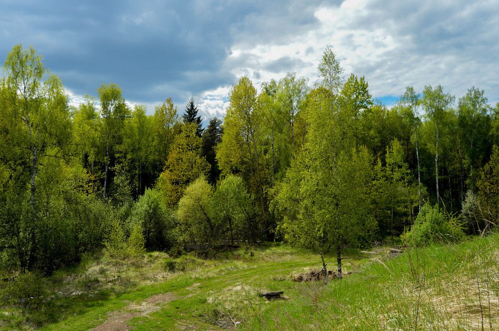 Photograph by Татьяна Жиркина