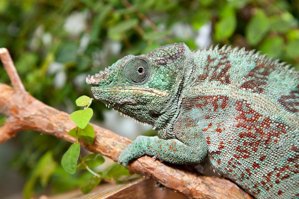 Photograph by Елена Жуковская