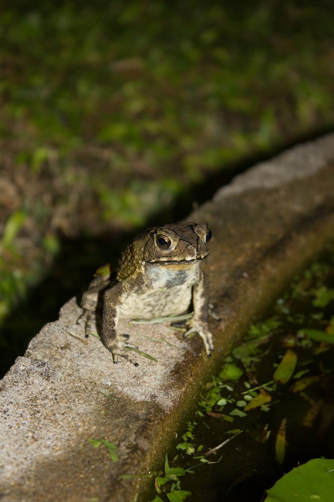 Photograph by Надежда Моряхина