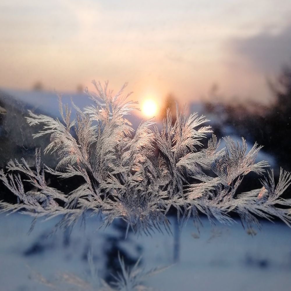 Письма зимы