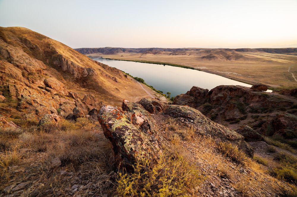 Застывший в камне