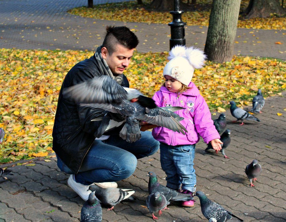 Папа с дочкой кормят голубей.
