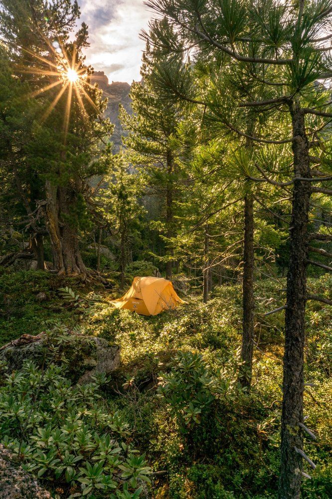 Стоянка в горном лесу