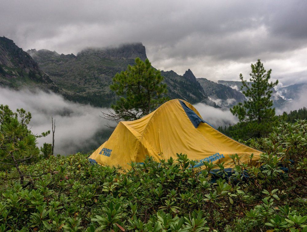 Подле туманных гор