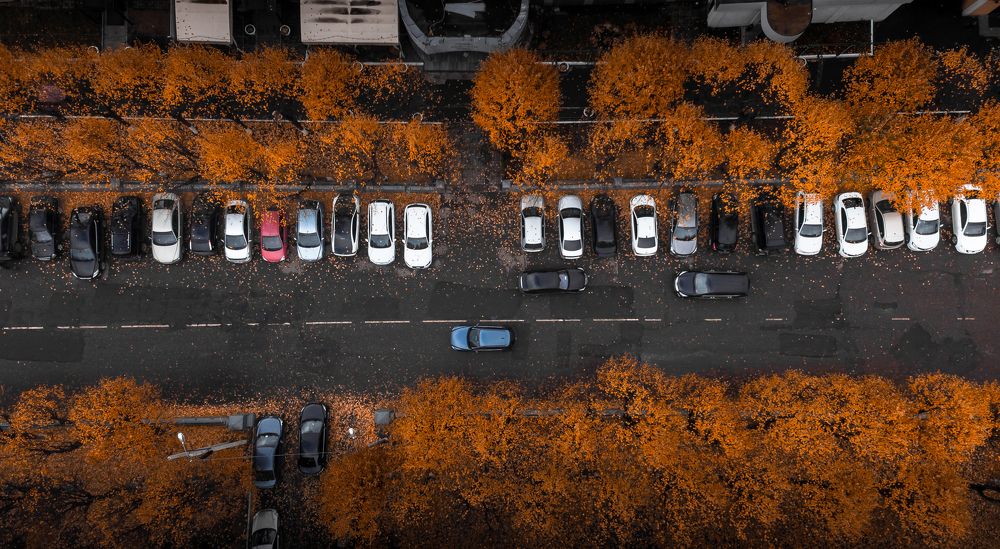 Осенняя улица