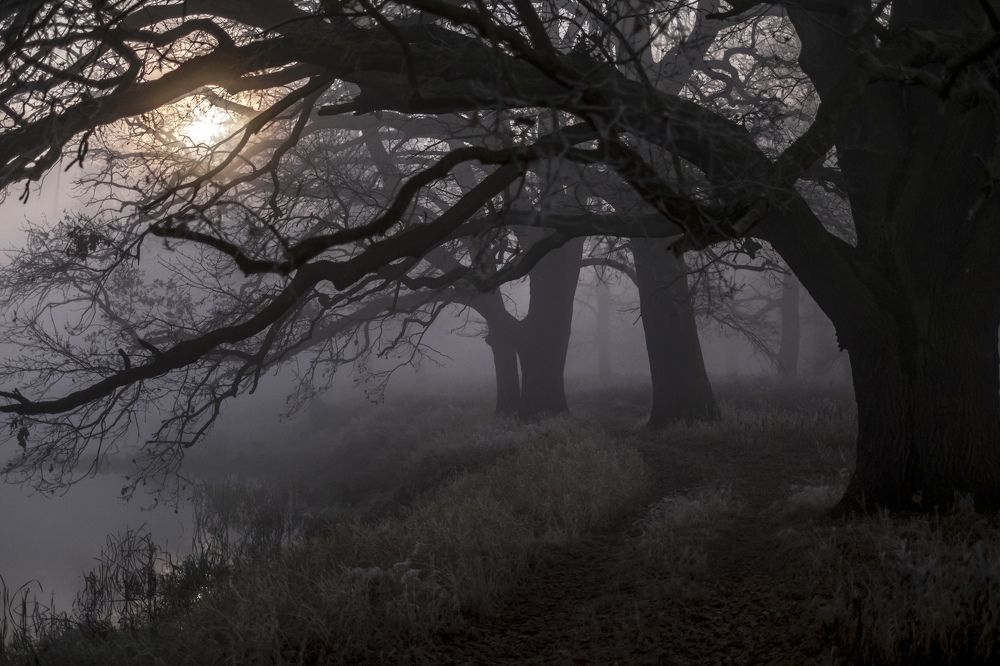 księżycowa ciemność