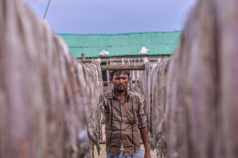Dry fish worker.