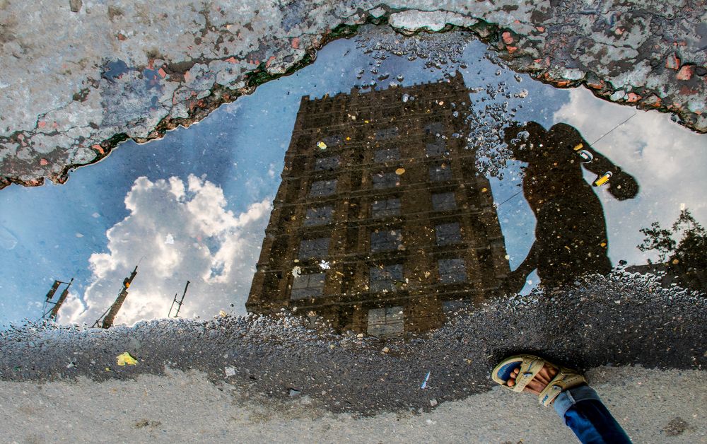 Shadow of The Street