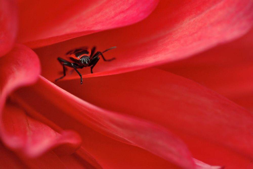 Photograph by Евгений