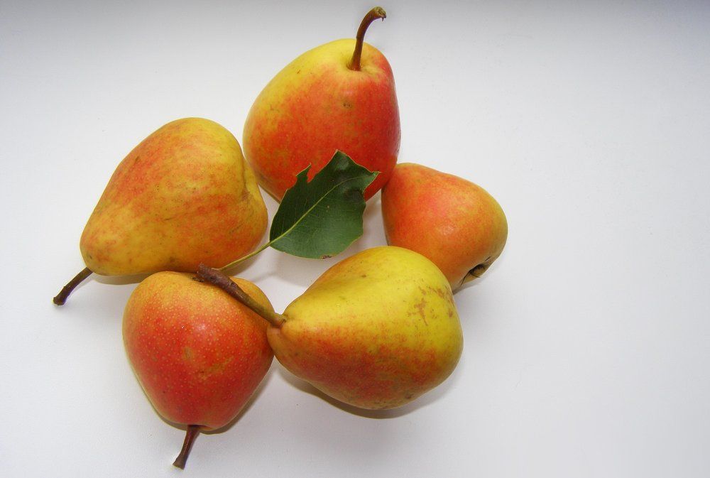 Грушевый хоровод