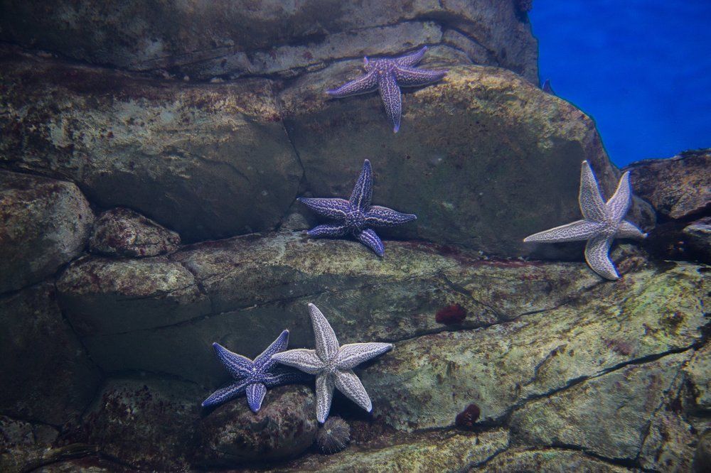 Photograph by Valery Vinnitsky