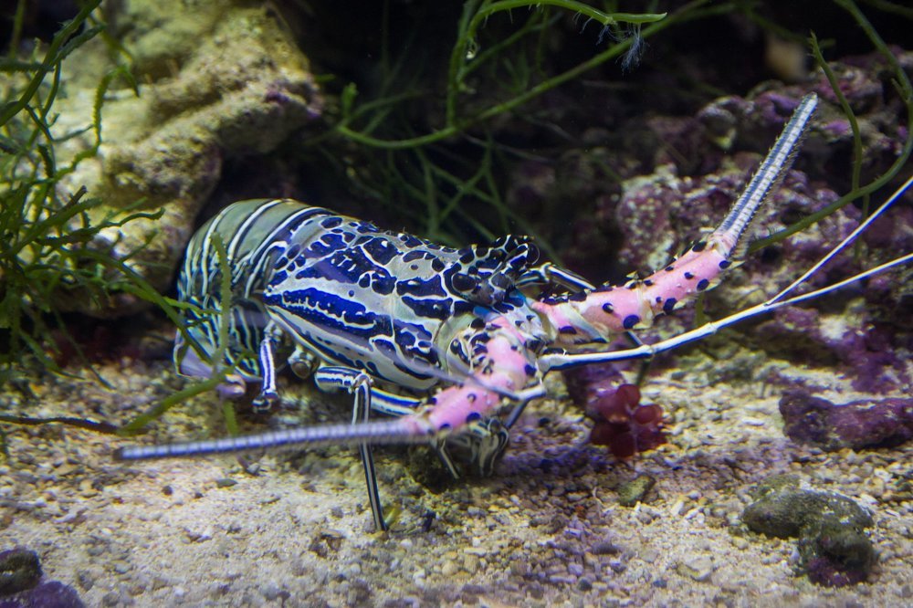 Photograph by Valery Vinnitsky