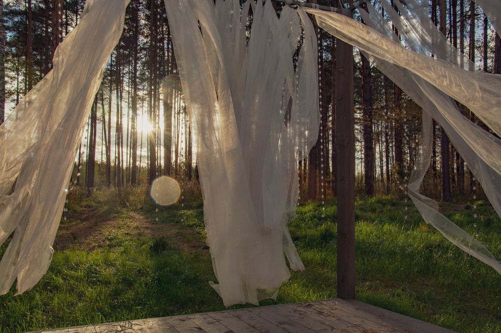 Дуновение осеннего ветра