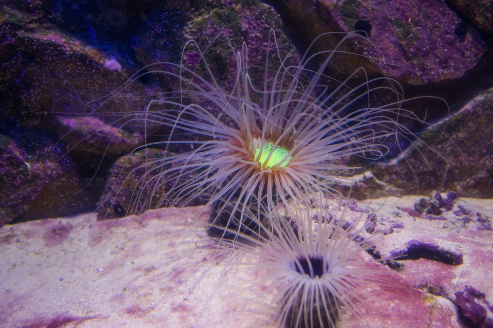 Photograph by Valery Vinnitsky