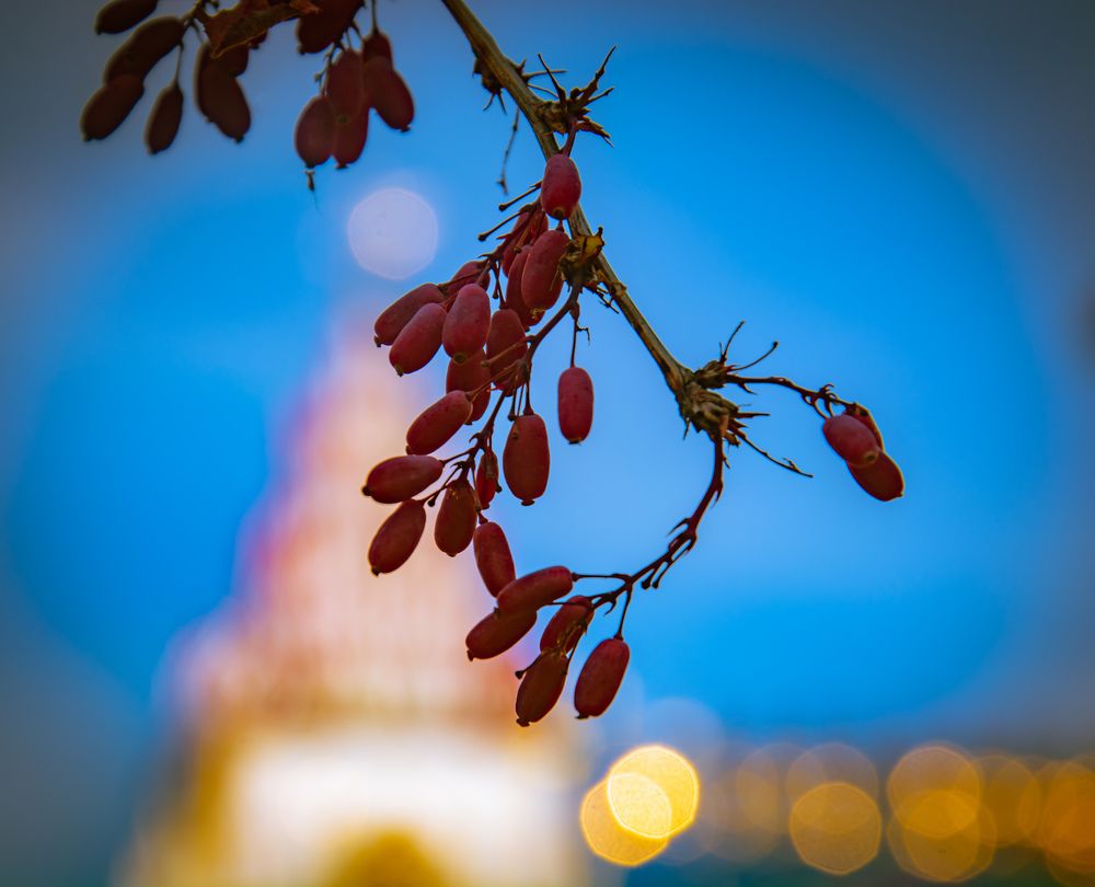 Photograph by Андрей Катков