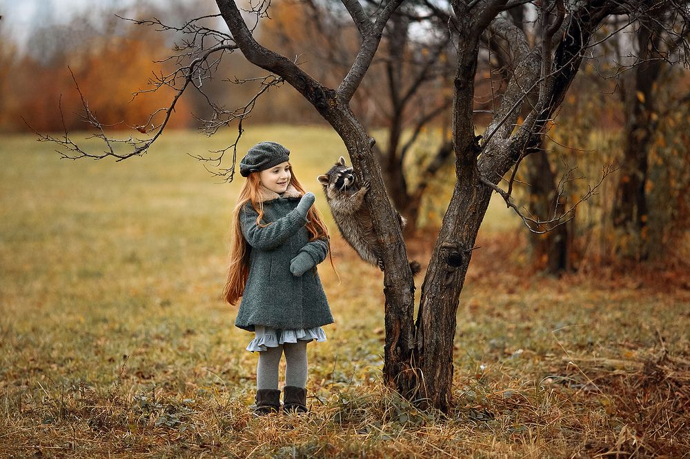 Встреча с енотом