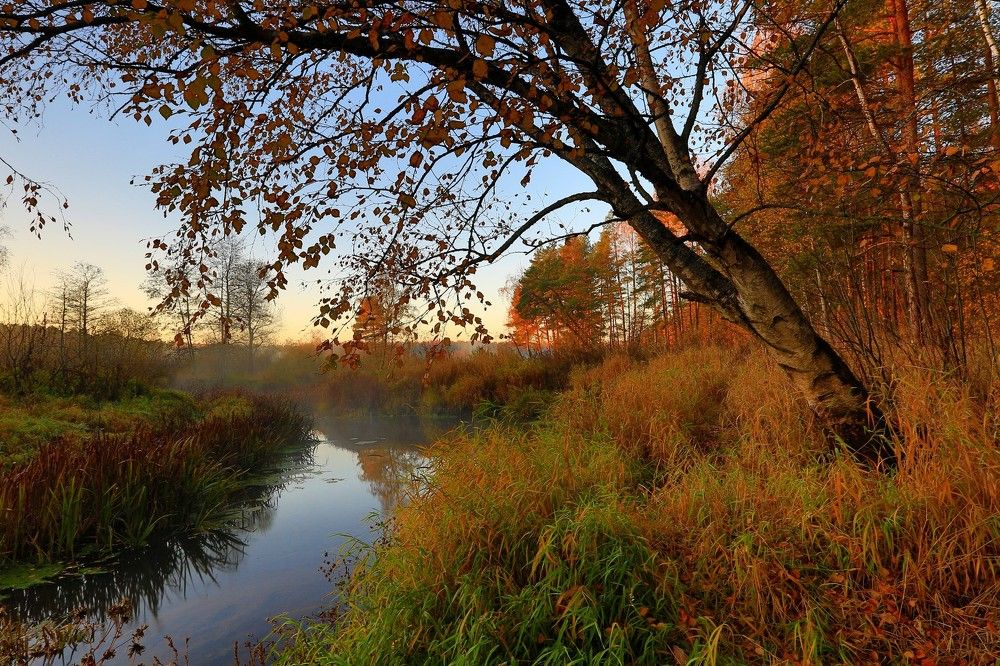 Осенний этюд