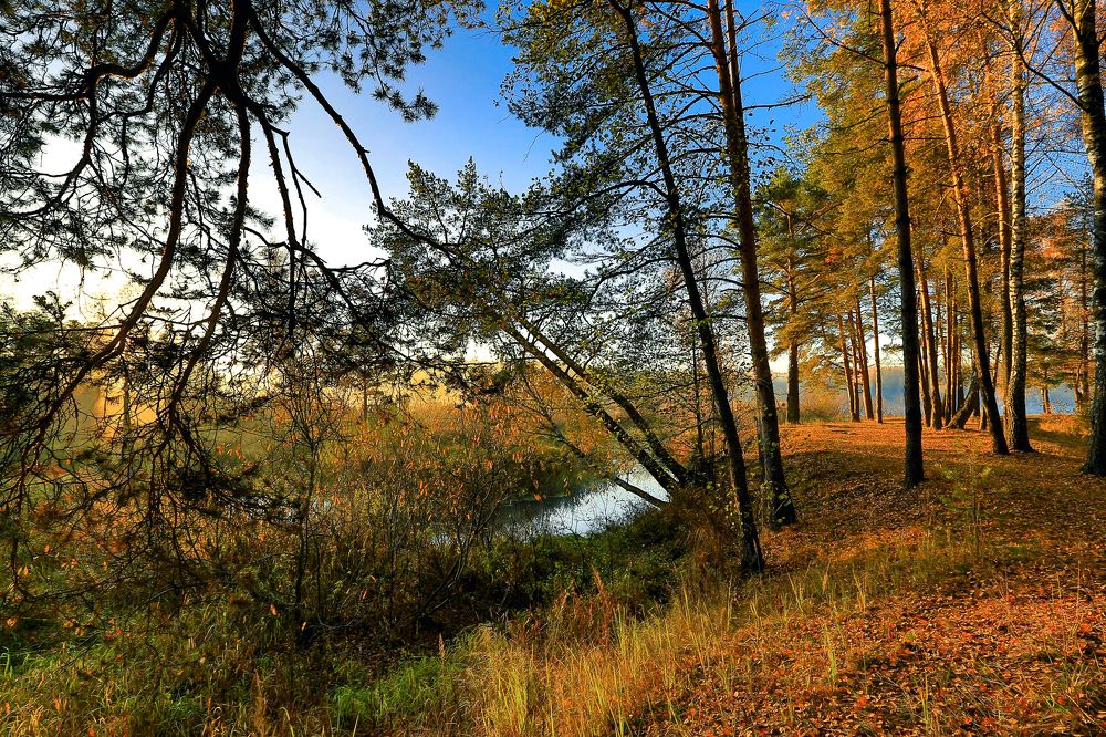 Осенняя зарисовка