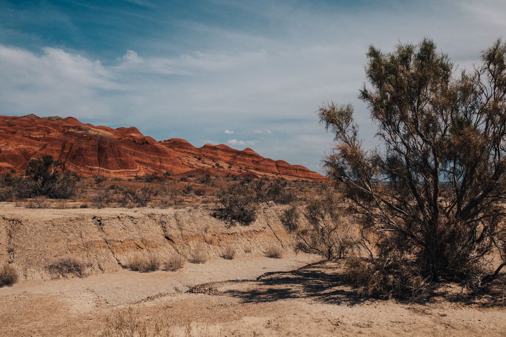 Photograph by Виктория Абрамова