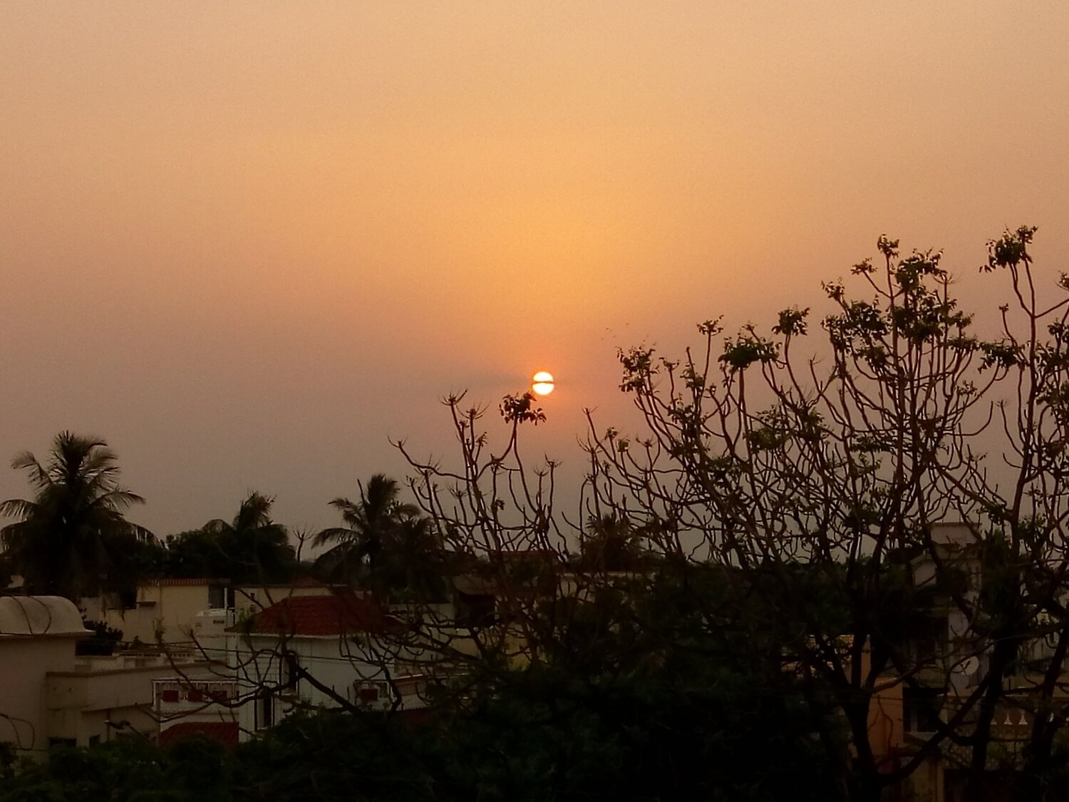 Light of hope