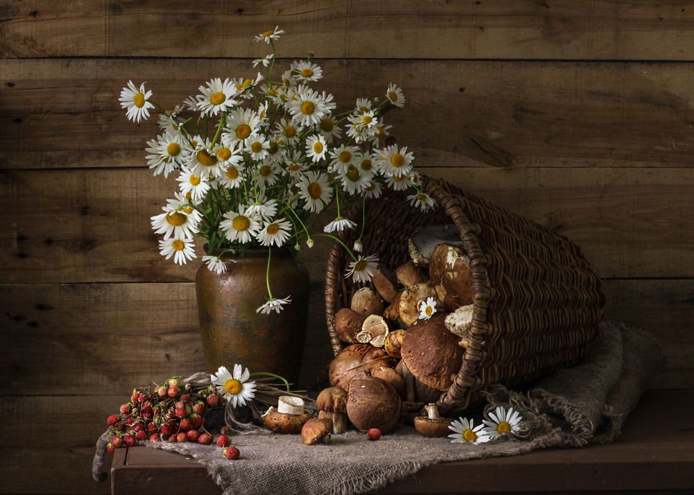 дары леса...