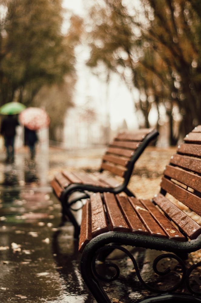 Photograph by Екатерина Гущина