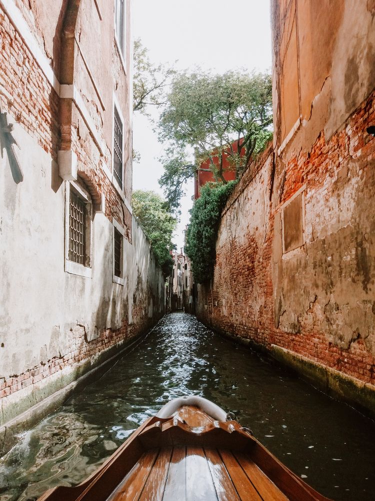 Photograph by Екатерина Гущина