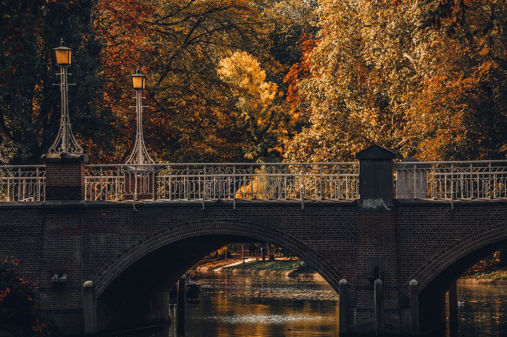 Photograph by Vera Lehem