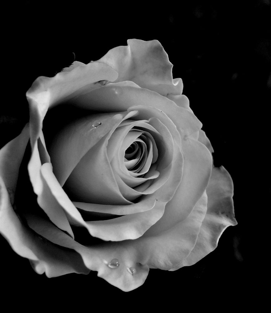 Photograph by LOGESWARI