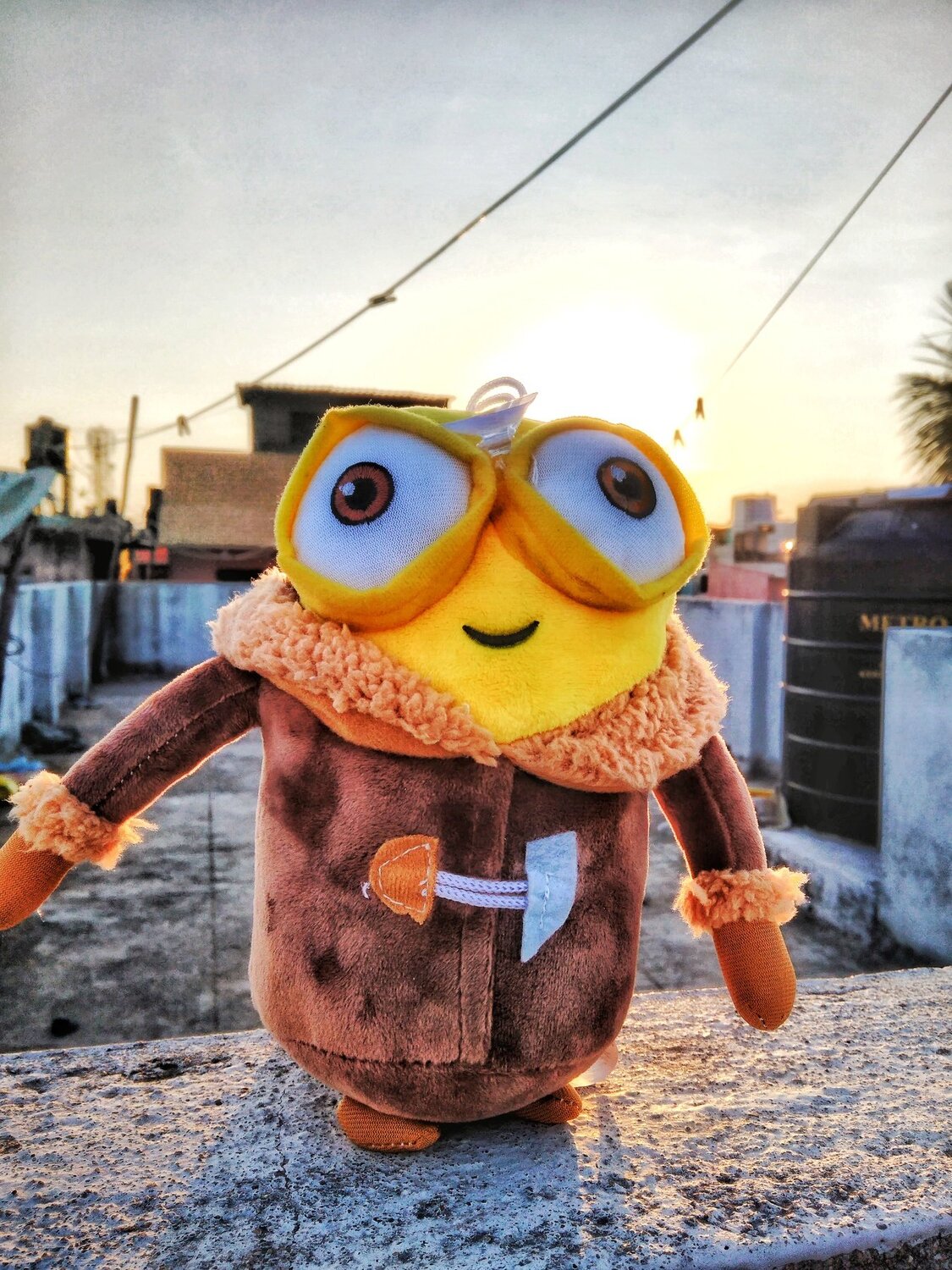 Minions