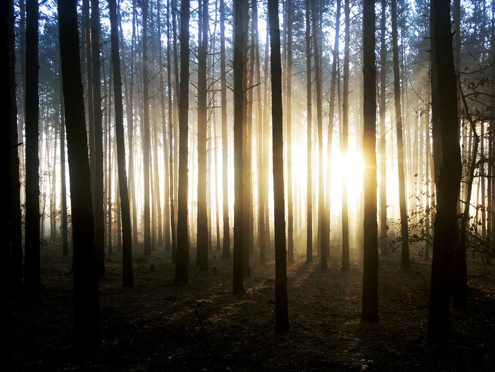 В ритме света.