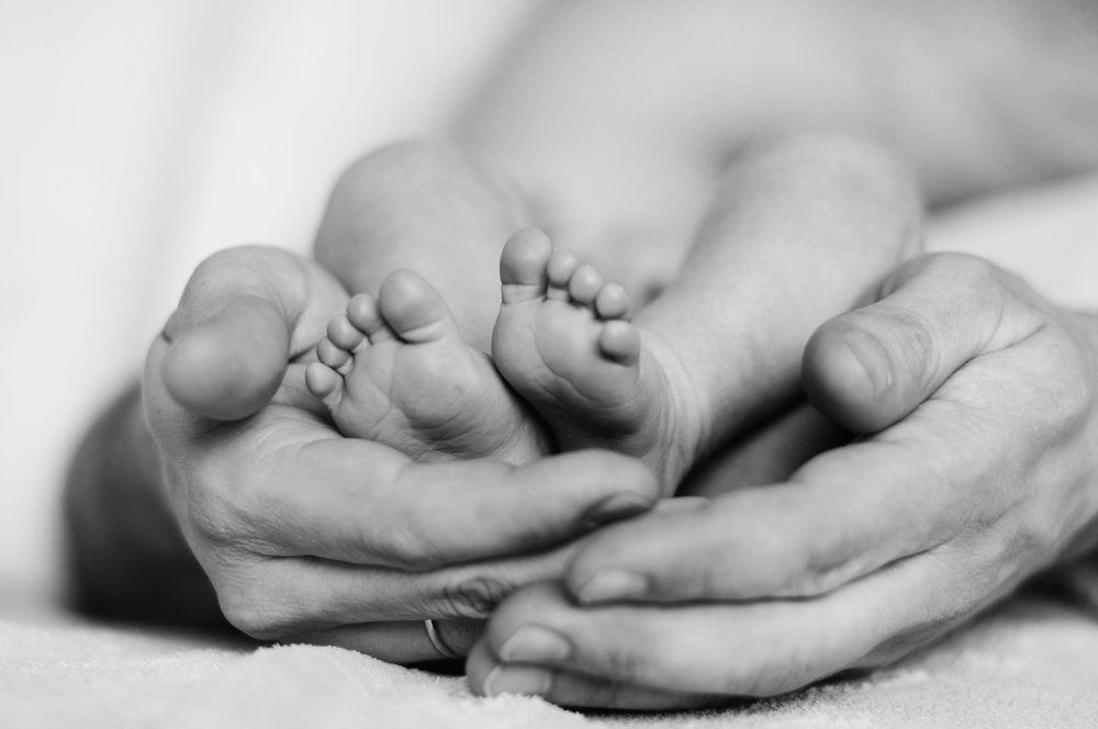 и лев покорится ребенку