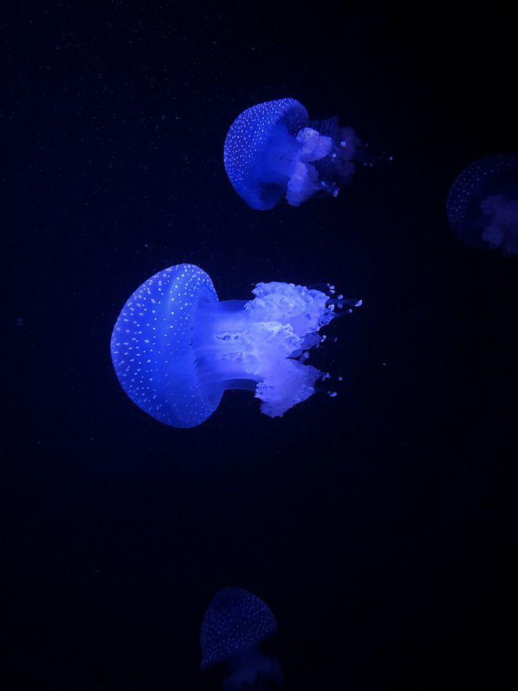 deep water