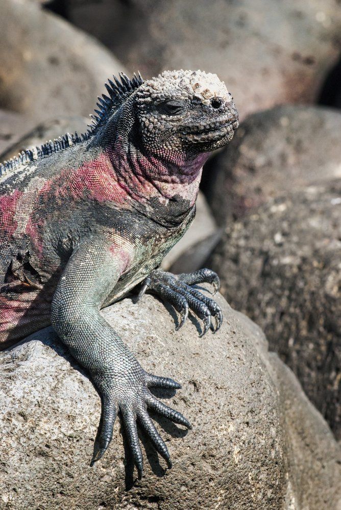 Photograph by Irina Grigoryeva