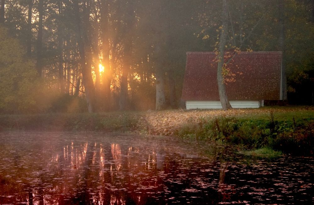 Morning in countryside.