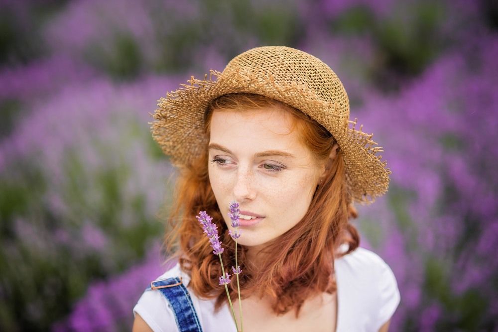 Лавандовые мечты