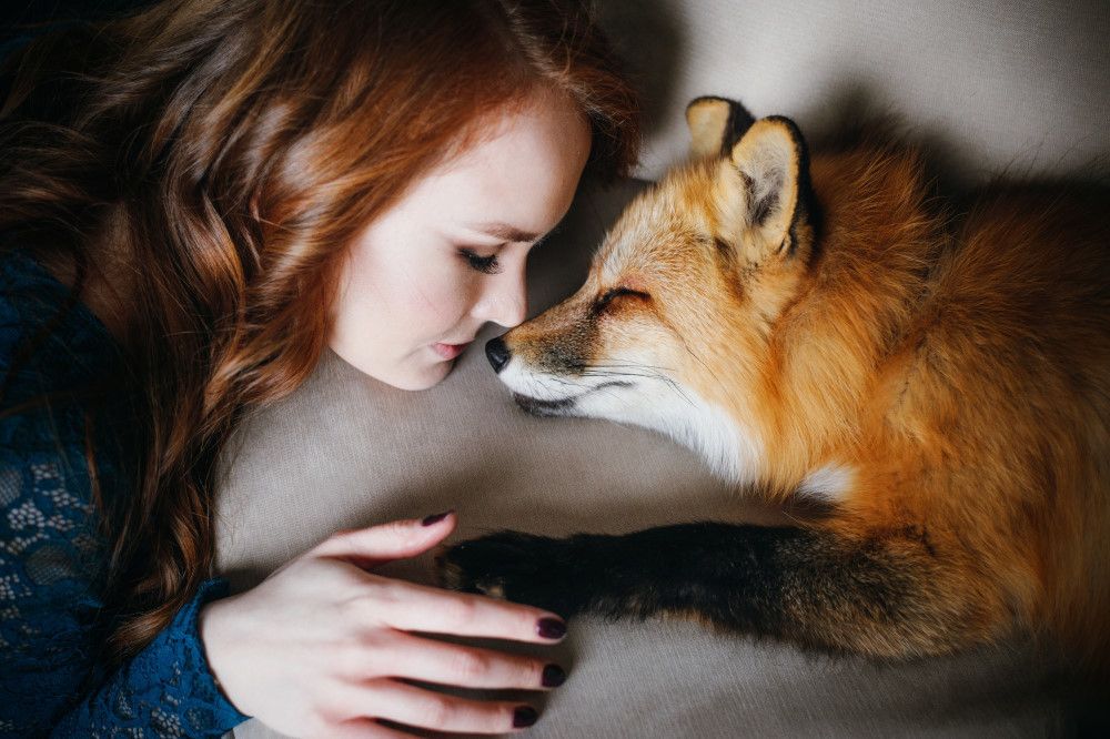 Photograph by Екатерина Корчик