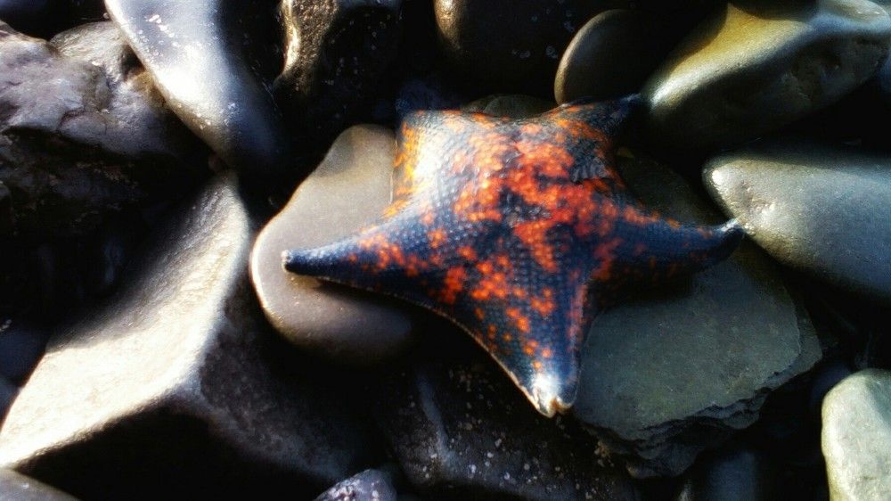 Photograph by Maria Doroshenko