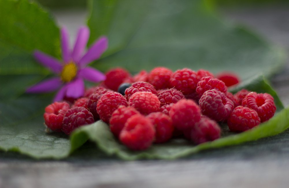 малиновое лето