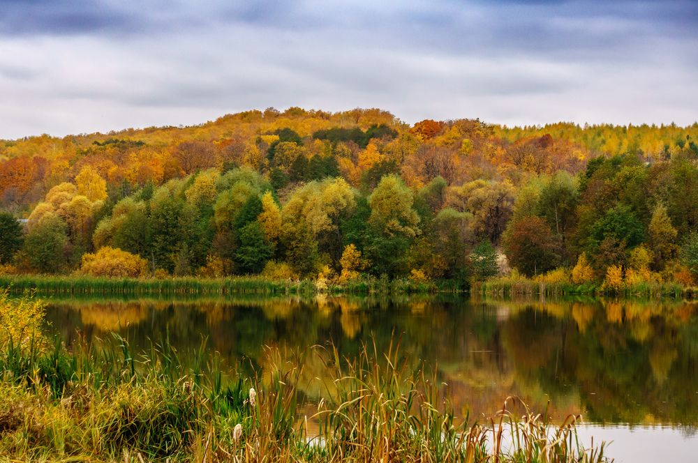 Цвета осени