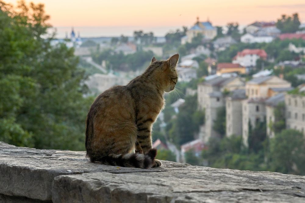 Благодать...