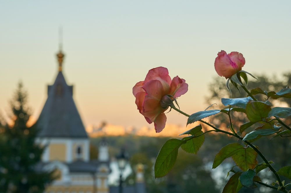 На закате...