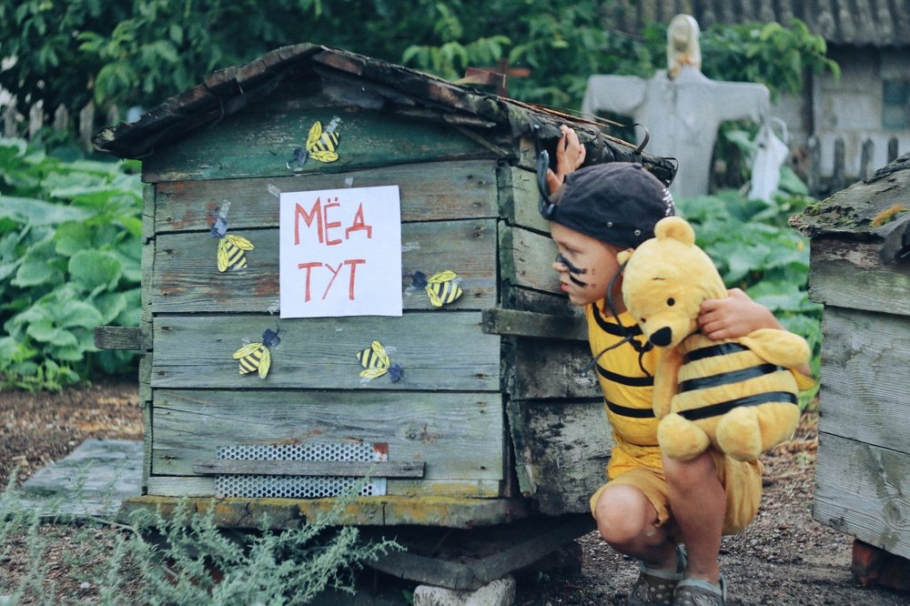 В поисках мёда