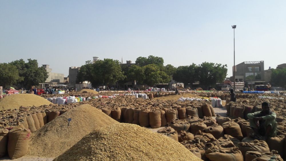 Grain Market