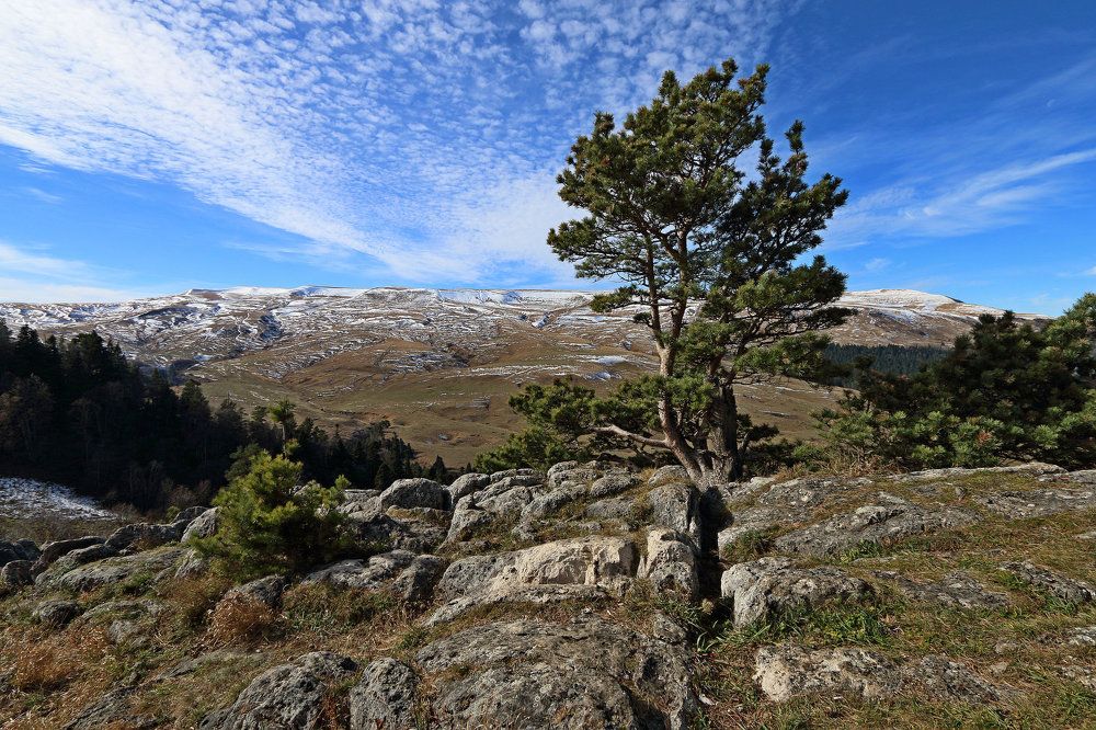 Photograph by Александр Пиленгас