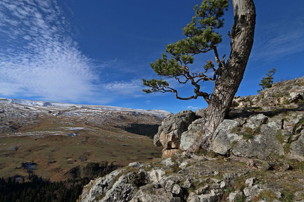 Photograph by Александр Пиленгас