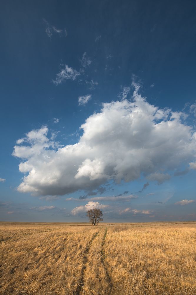 Над степною равниной...