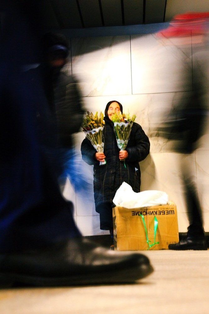 Дорога цветов