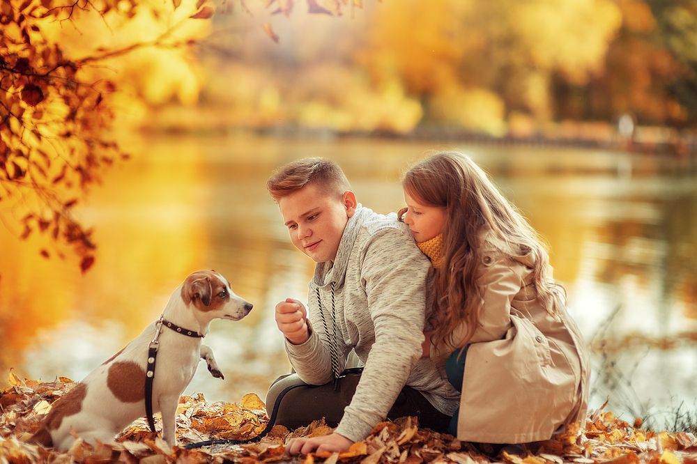 Человек собаке друг