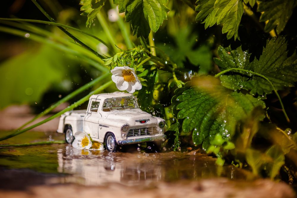 детский мир